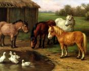 Ponies By A Pond - 埃德加·亨特